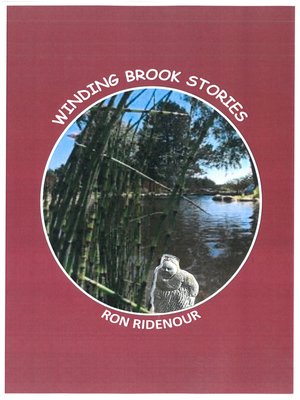 cover image of Winding Brook Stories